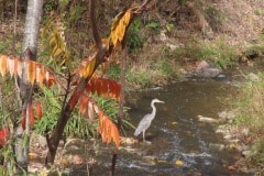 Unknown-2