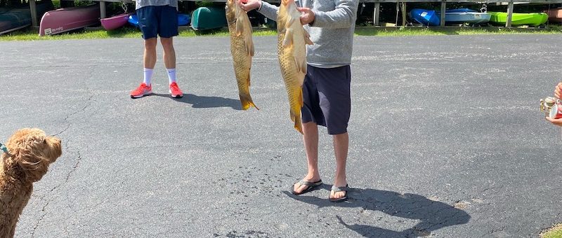 Carp Fishing Derby